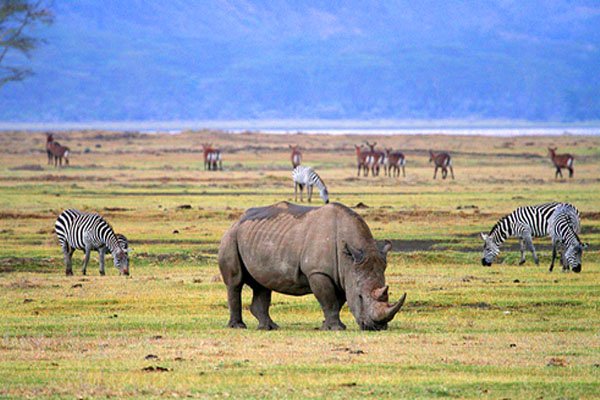 3-Day Midrange Northern Circuit Adventure safari tour