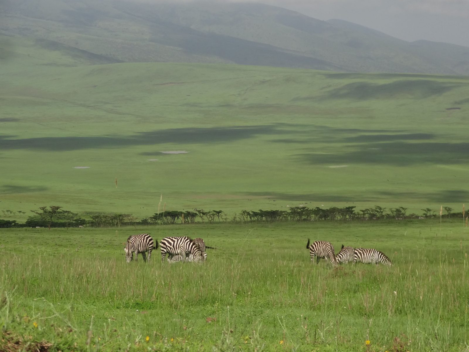 3-Day Serengeti and Ngorongoro Safari