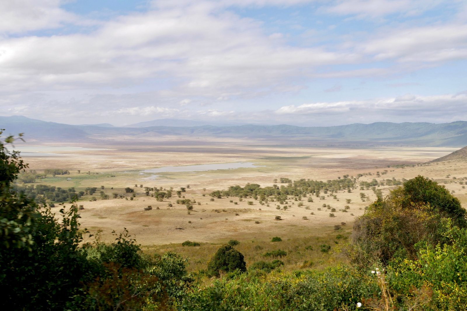 3-Day Serengeti and Ngorongoro Safari gallery image