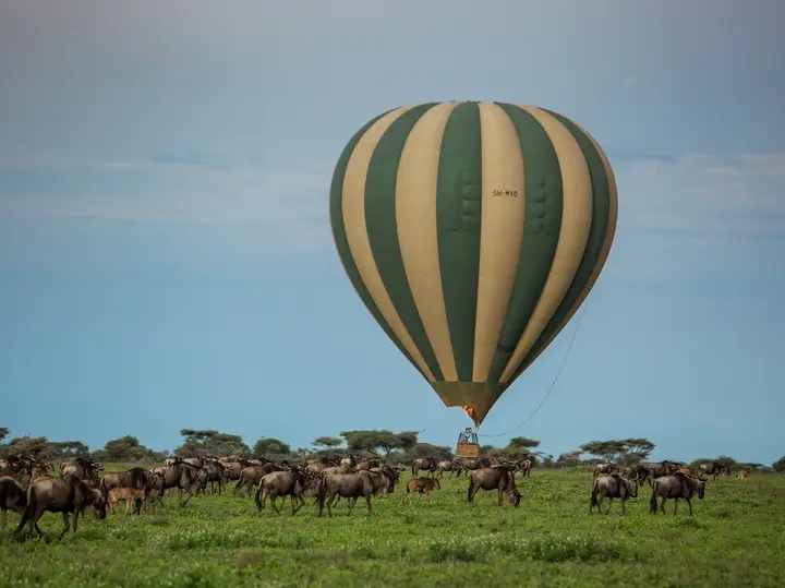 6-Day Tanzania Big Five Safari gallery image