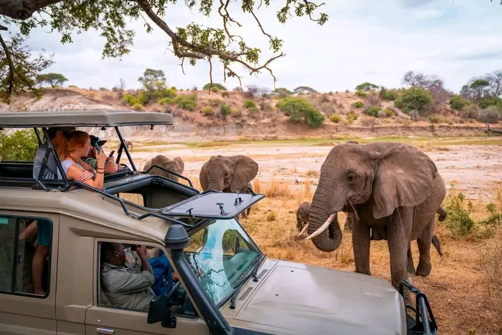 6-Day Tanzania Big Five Safari gallery image