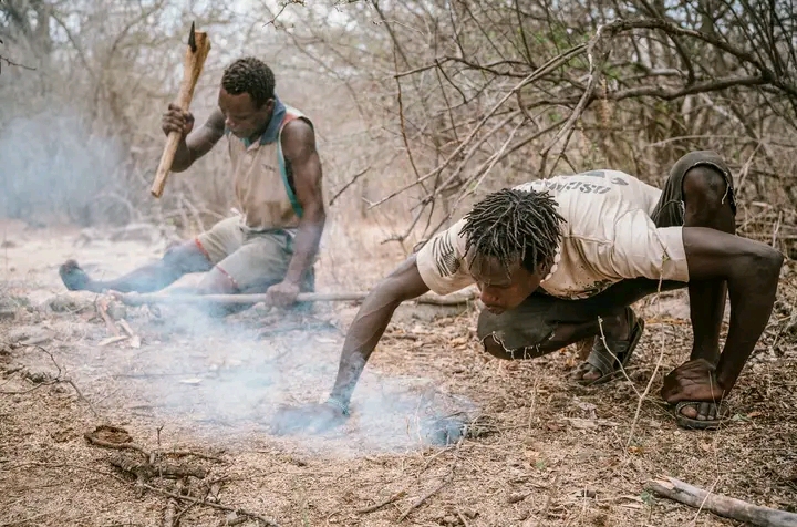 8-Day Tanzania Wildlife & Culture Safari gallery image