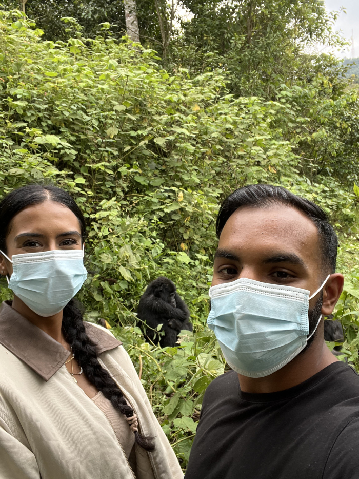 4-Day Fly-In Gorilla Trekking Safari to Bwindi gallery image