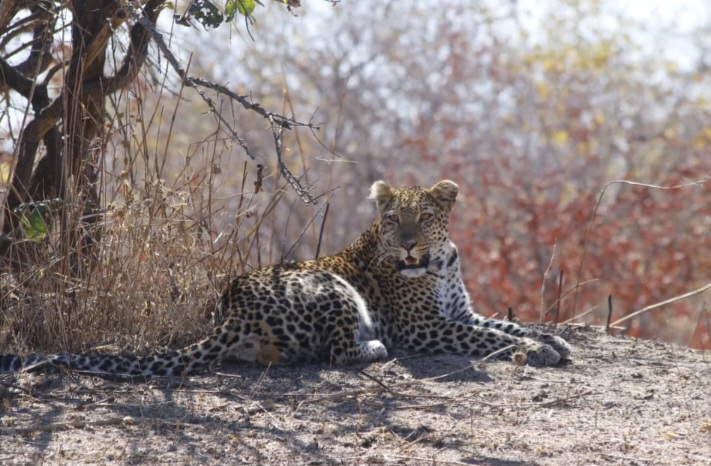 1-Day Tarangire National Park gallery image