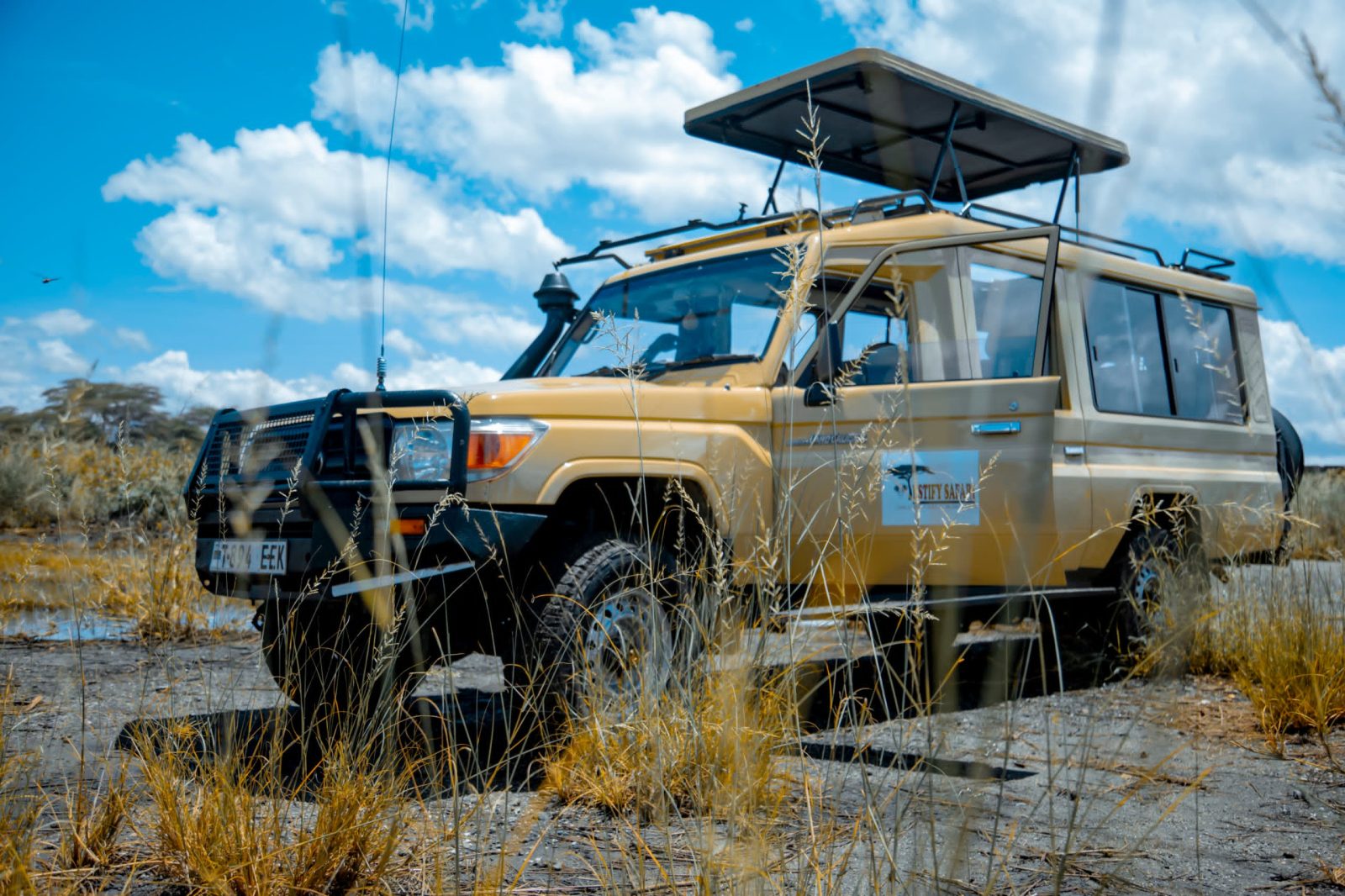 1-Day Tarangire National Park gallery image