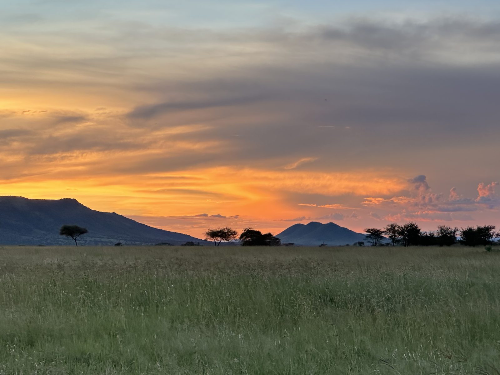 3-Day Tanzania Safari: Tarangire & Ngorongoro Crater gallery image
