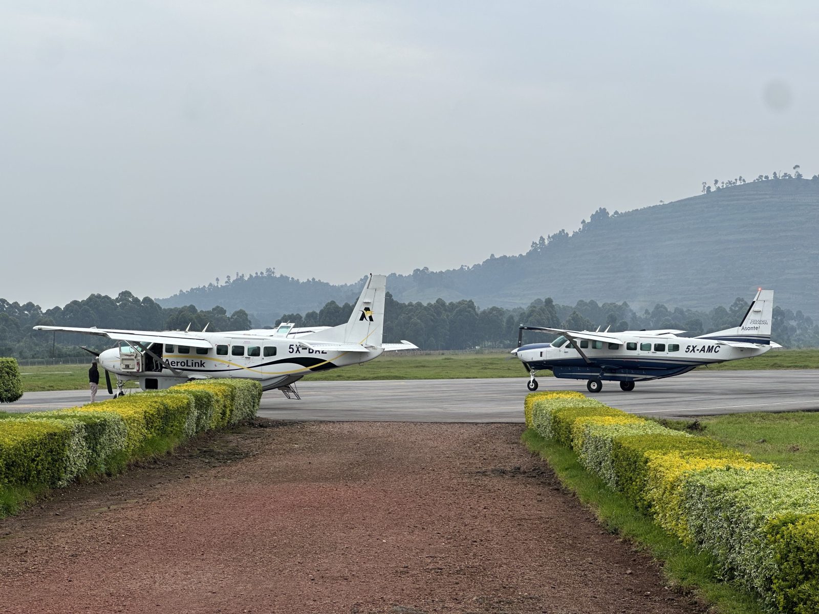 4-Day Fly in Gorilla Safari gallery image