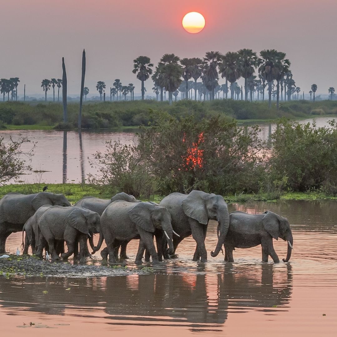 5-Day Southern Serenade - Premium Fly-In/Fly-Out Safari