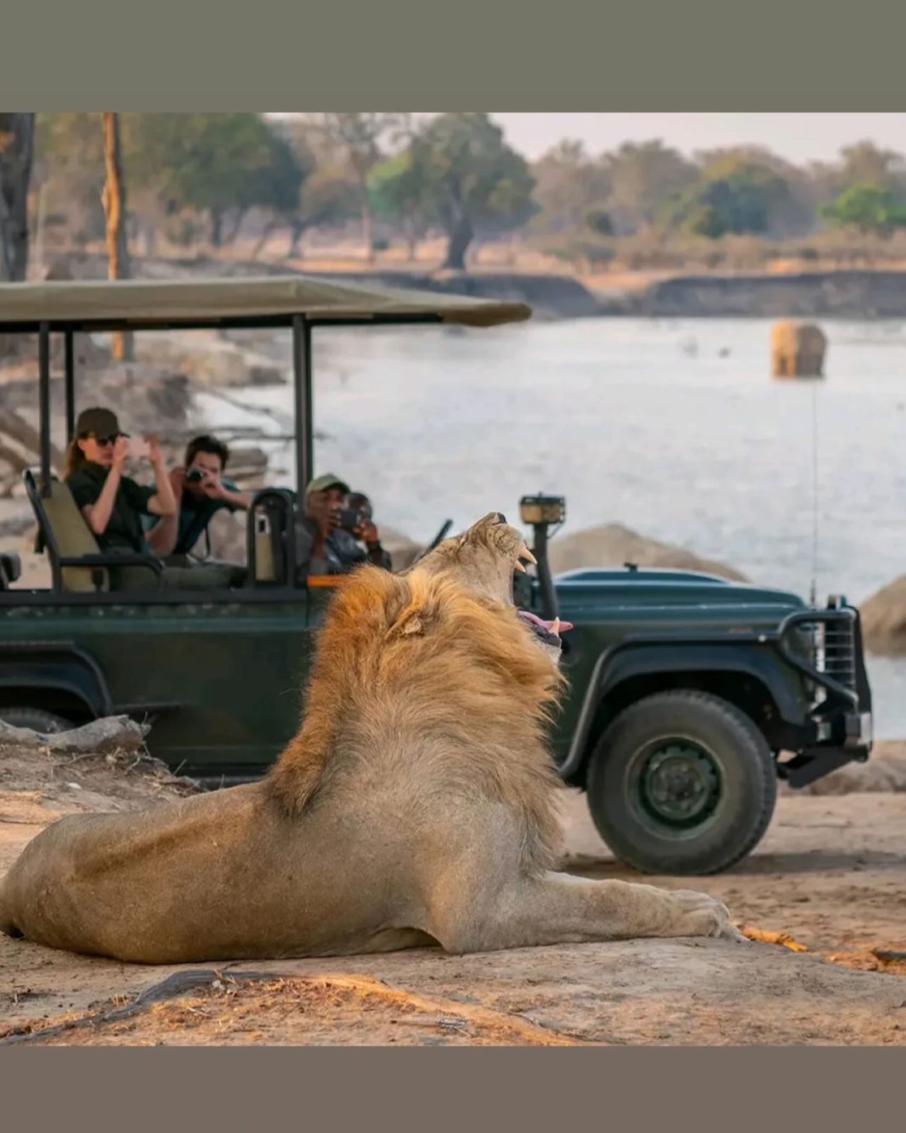 5-Day Southern Serenade - Premium Fly-In/Fly-Out Safari gallery image