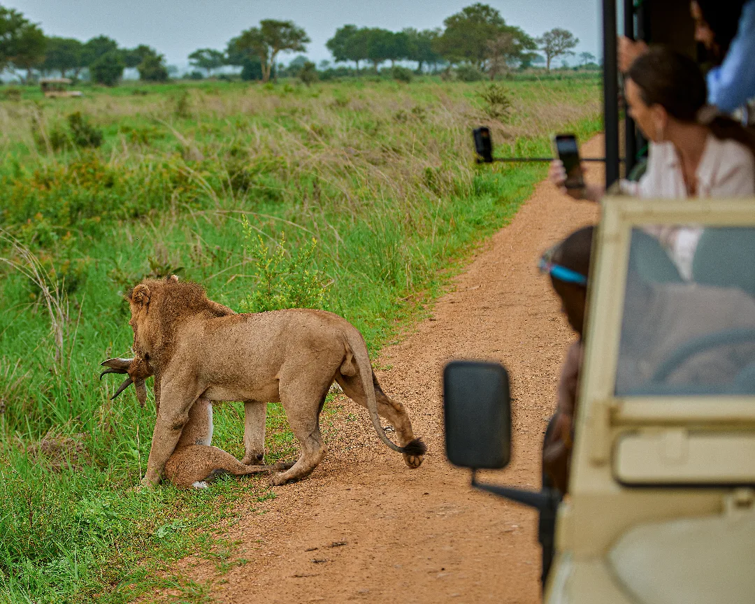 5-Day Southern River & Plains Luxury Safari: Nyerere & Mikumi gallery image
