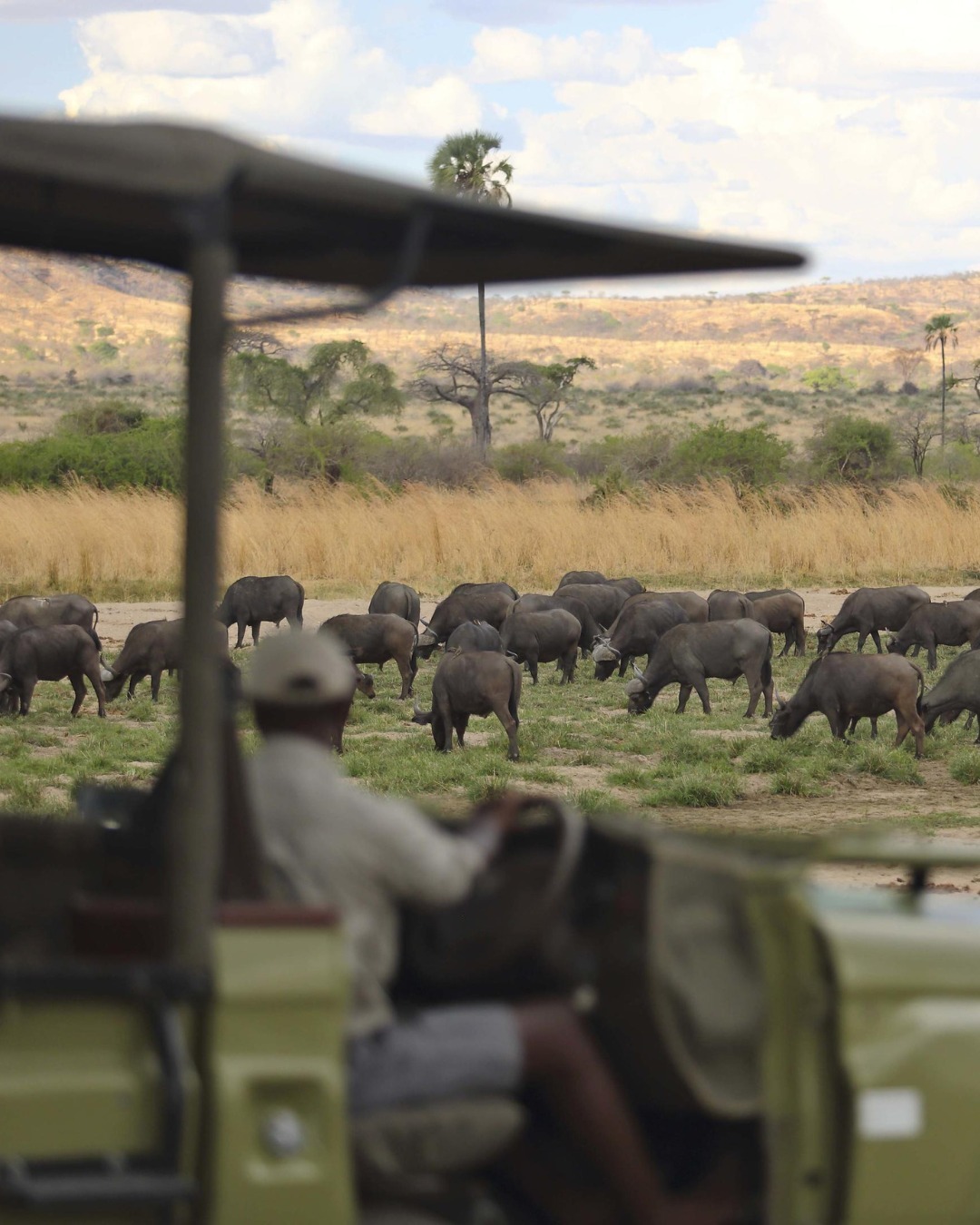 7-Day Southern Tanzania Grand Circuit gallery image