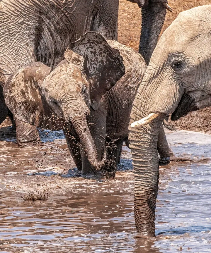 3-Day Tanzania Wildlife Escape Safari gallery image