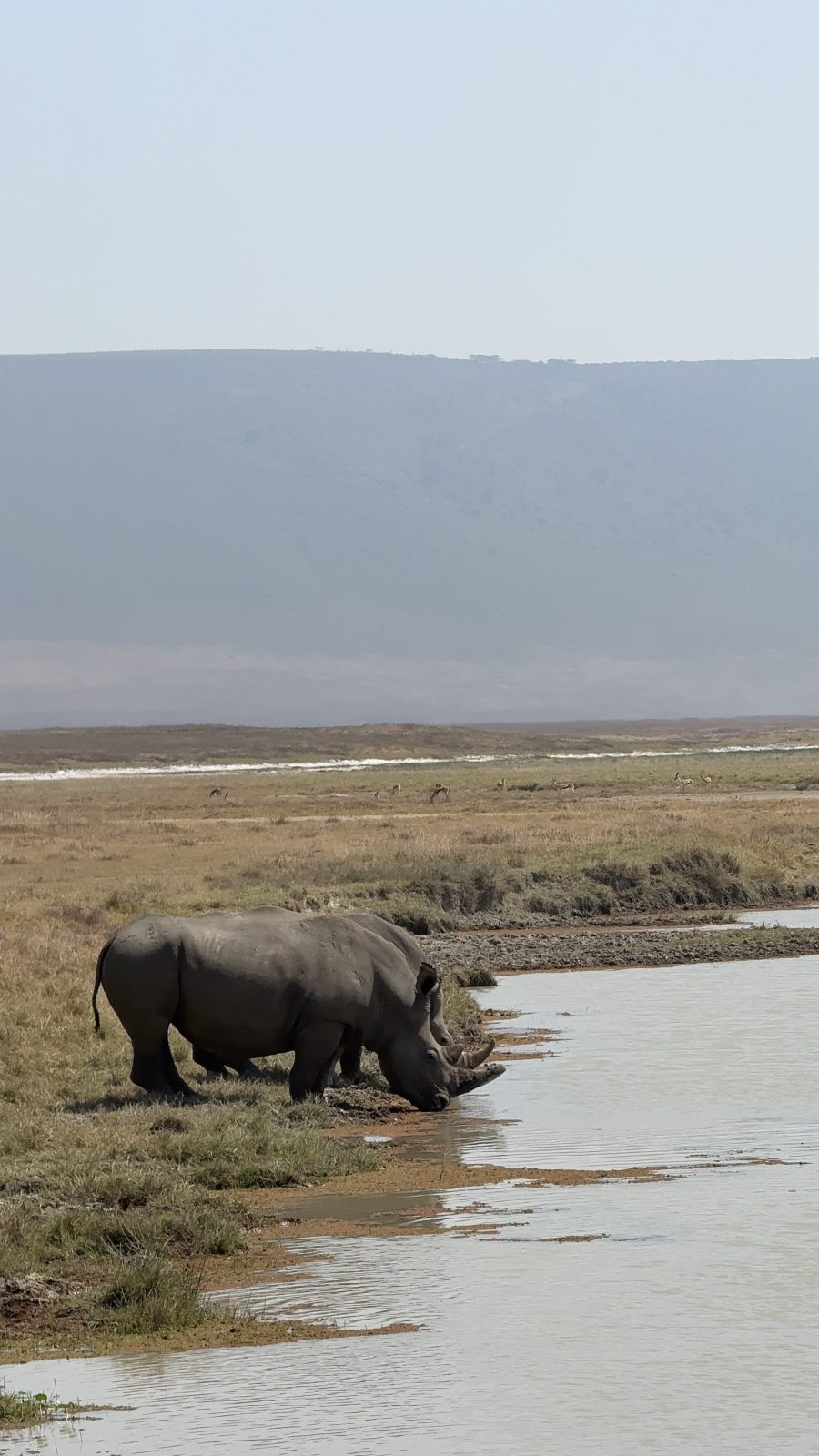 6-Day Tanzania Classic Safari gallery image
