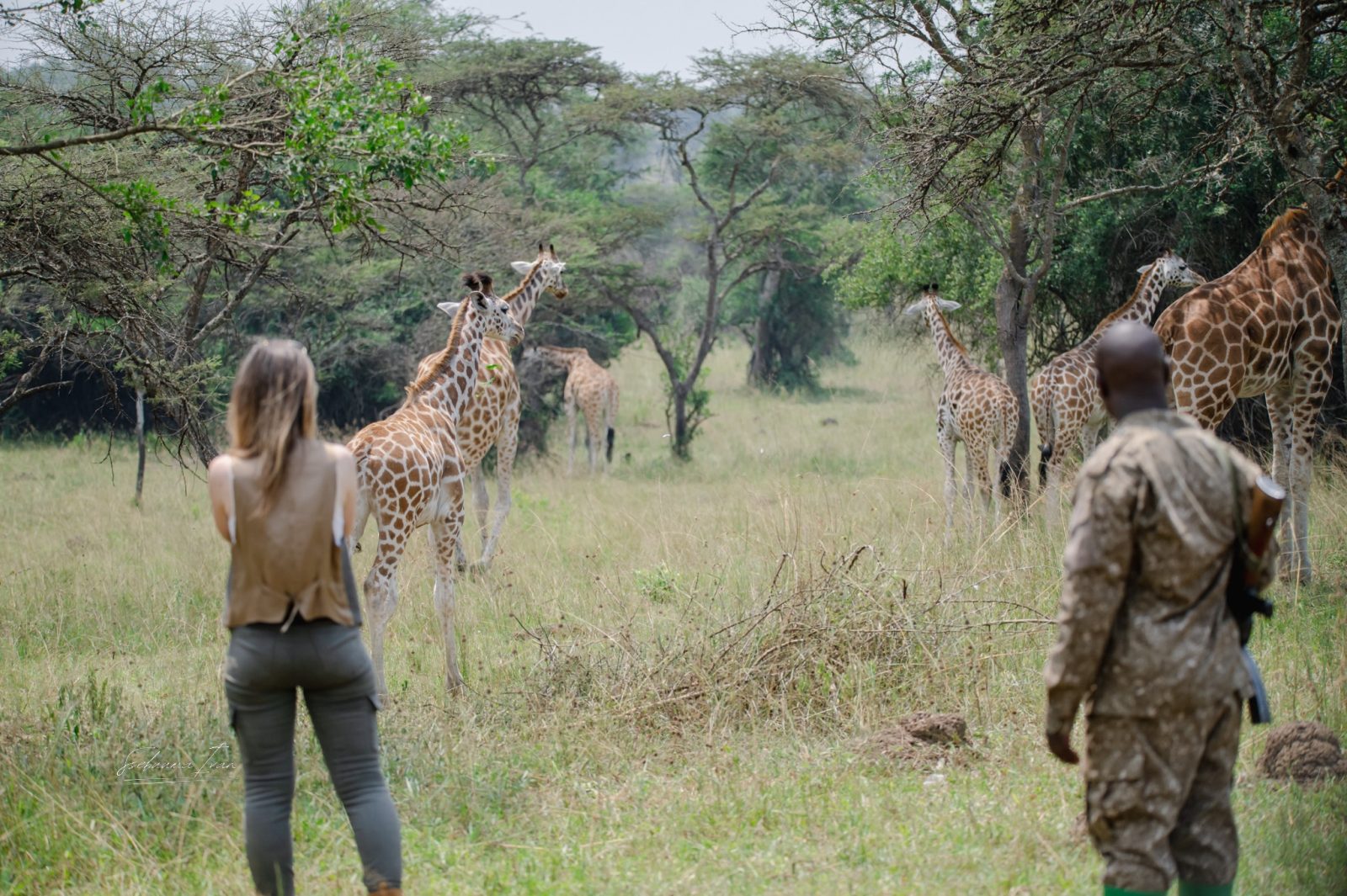 11-Day Best of Uganda Safari