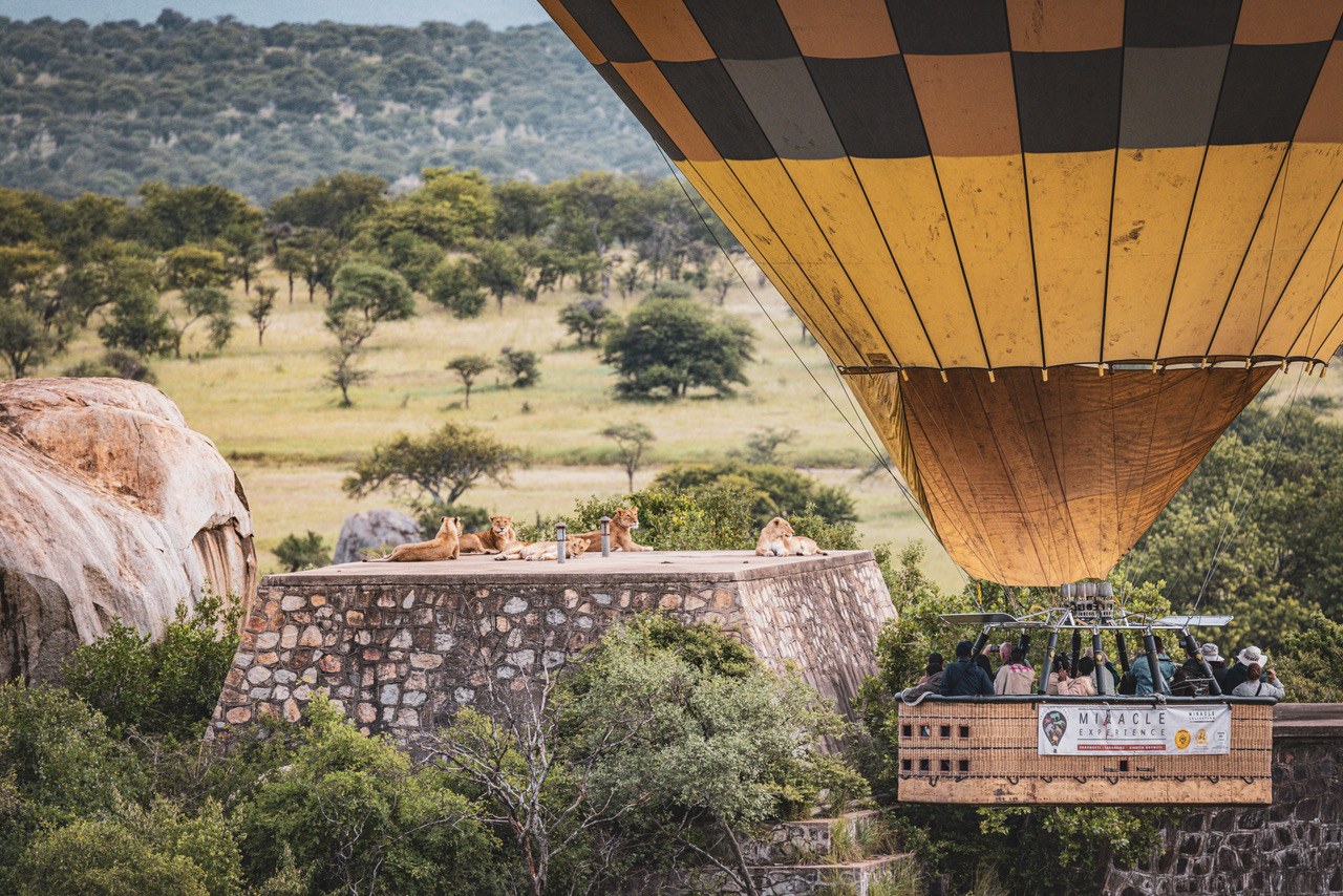 12-Day Northern Tanzania Circuit and Zanzibar gallery image