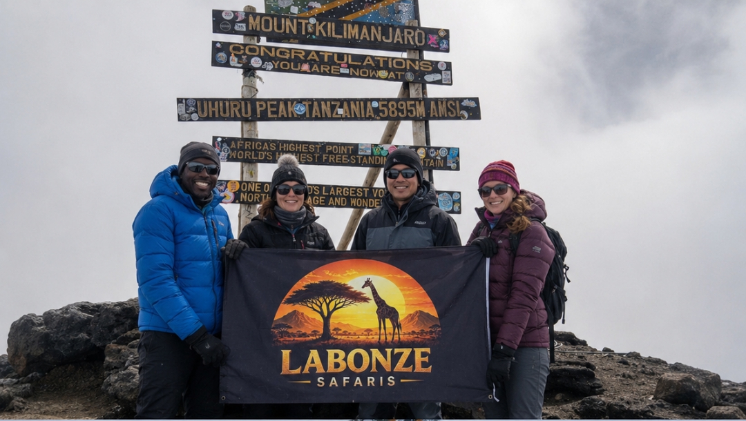 6-Day Mount Kilimanjaro Marangu Route