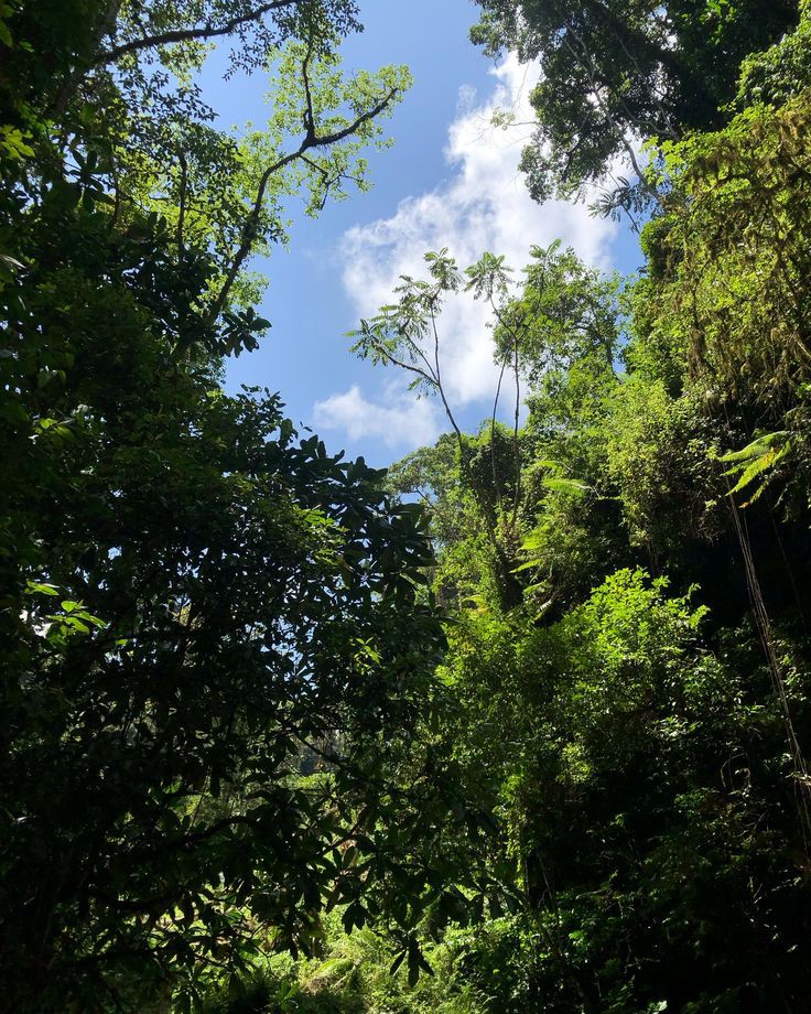 1-Day Napuru Waterfall Day Tour gallery image