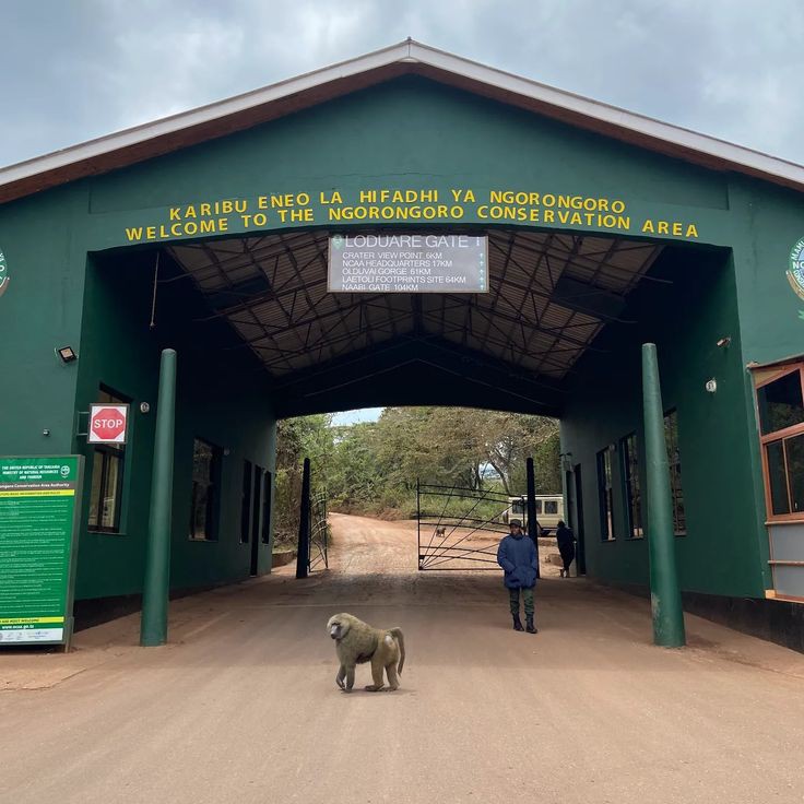 2-Day Lake Manyara & Ngorongoro Crater Safari