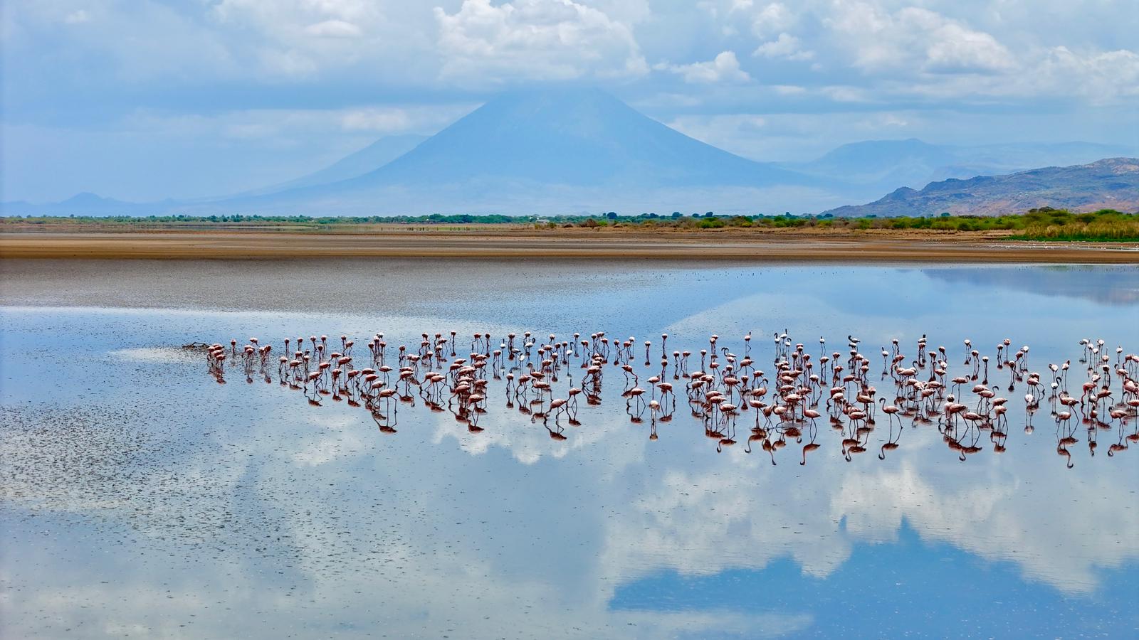 2-Day Lake Manyara & Ngorongoro Crater Safari gallery image