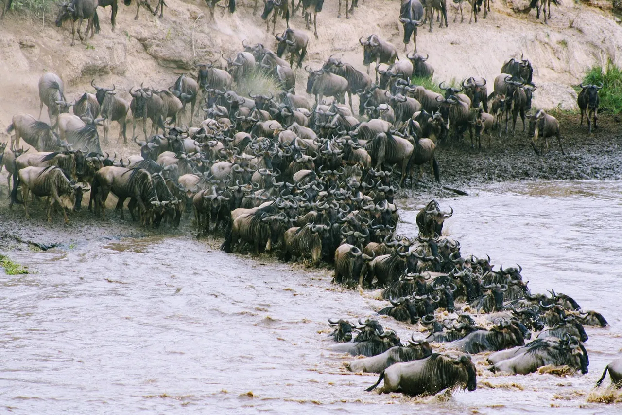 5-Day Great Wildebeest Migration Safari gallery image
