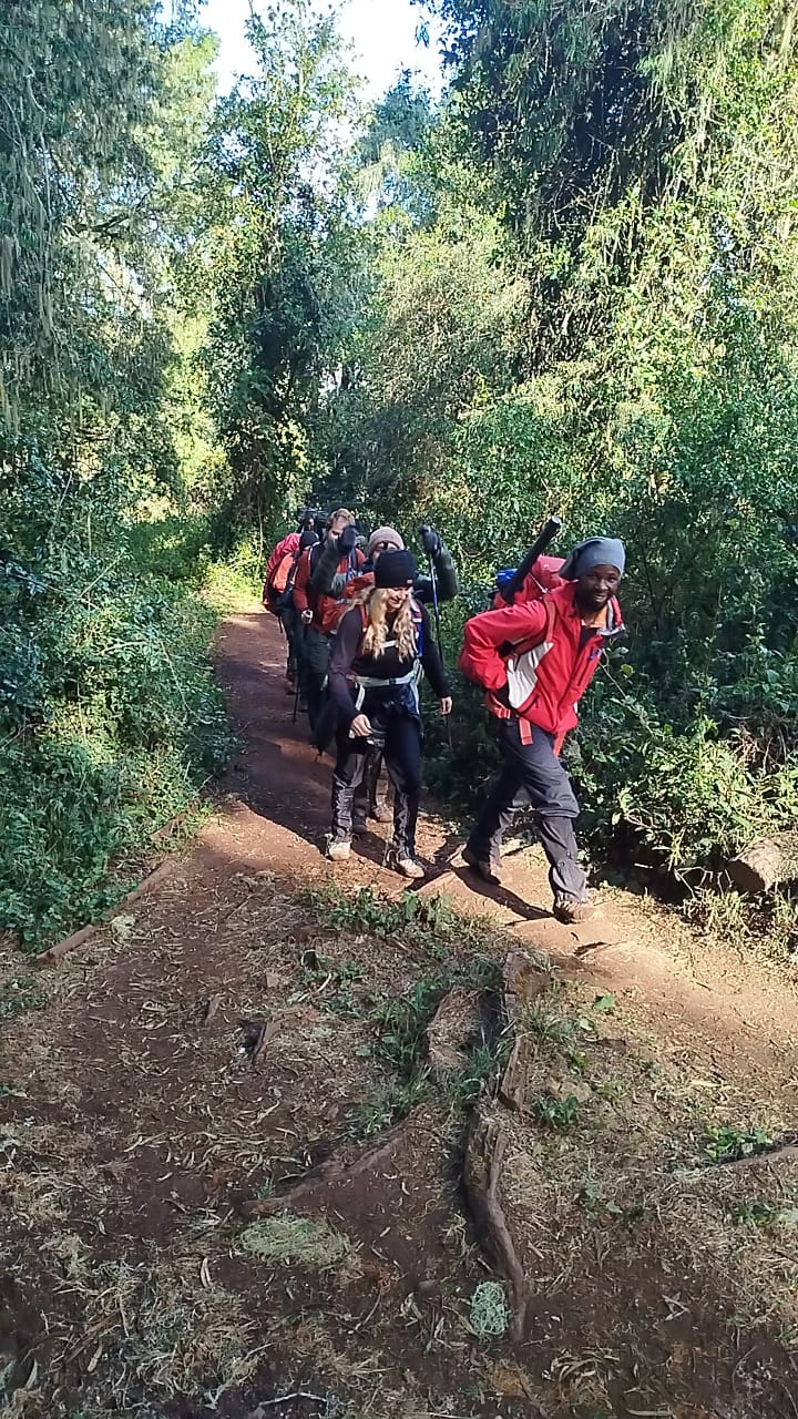8-Day Lemosho Route Trekking gallery image