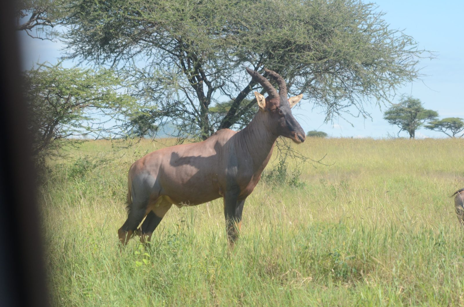 15-Day The Tanzanian Grand Safari and Zanzibar Beach Holidays gallery image