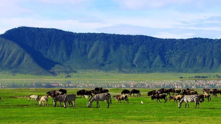4-Day Fly-In to the Great Serengeti Migration Safari gallery image