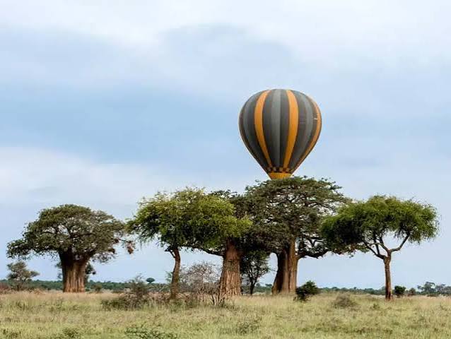 2-Day Ngorongoro Crater & Tarangire – Fly to Zanzibar gallery image