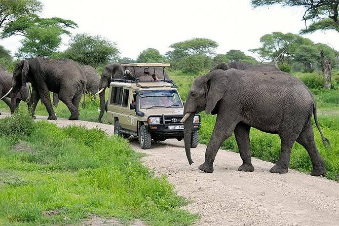 6-Day Fly-In to Great Migration Experiences Safaris gallery image