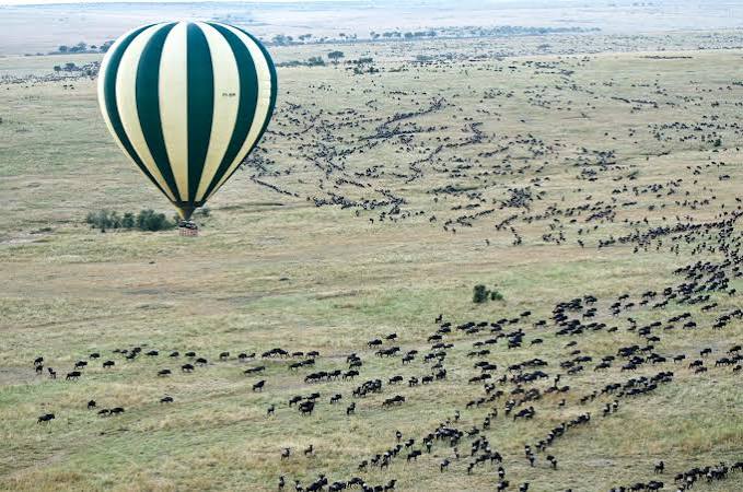 6-Day Mid-Range to Northern Big Five Safari gallery image