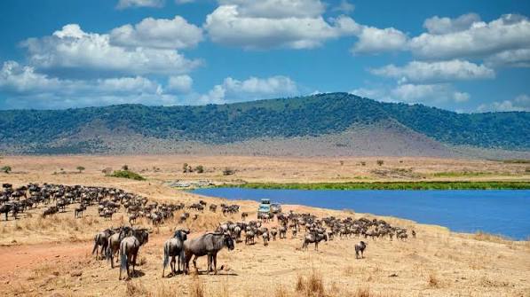 2-Day Tarangire & Ngorongoro Crater Big Five Safari – Fly Out gallery image