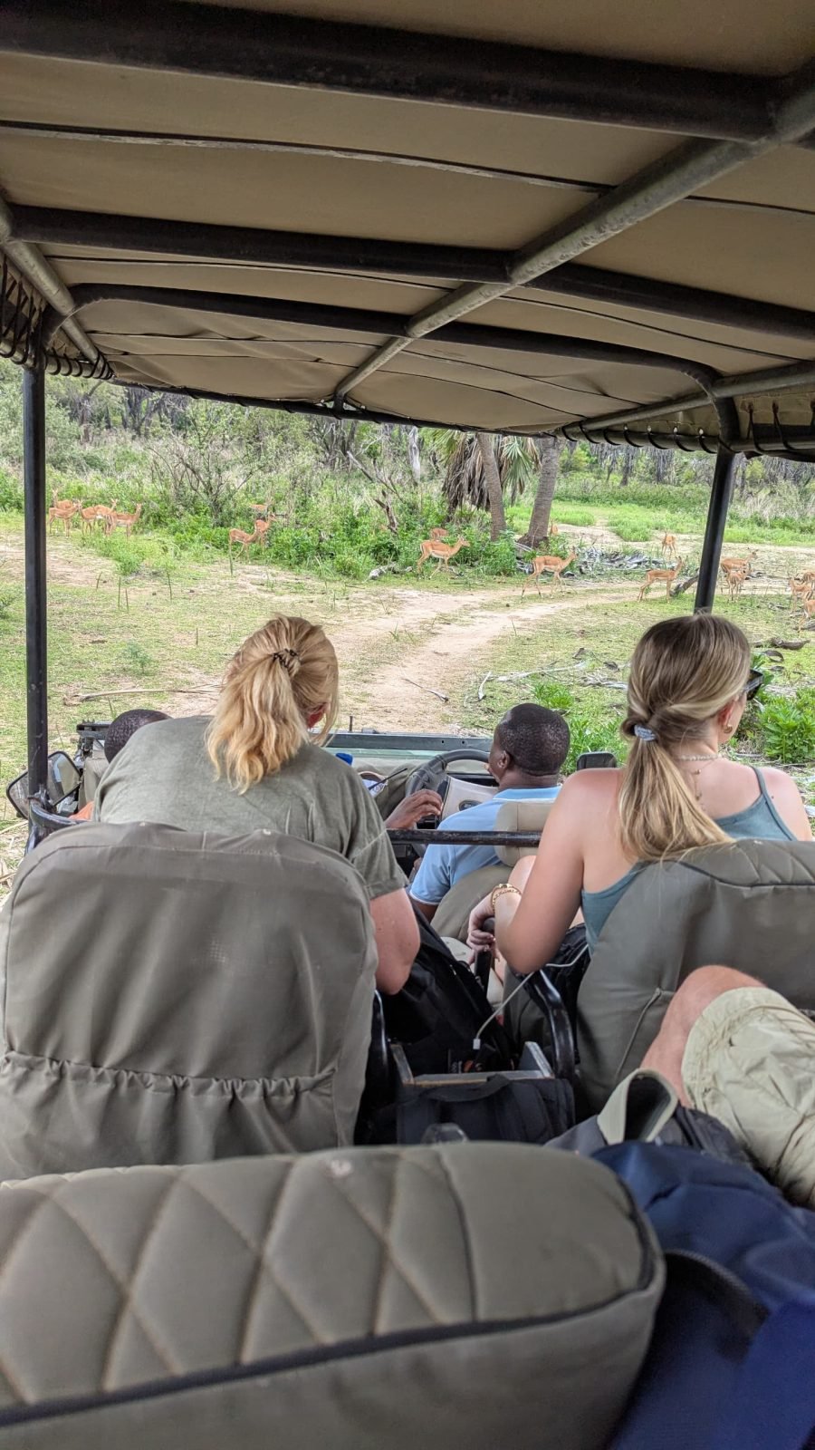 1-Day Mikumi Safari from Zanzibar gallery image
