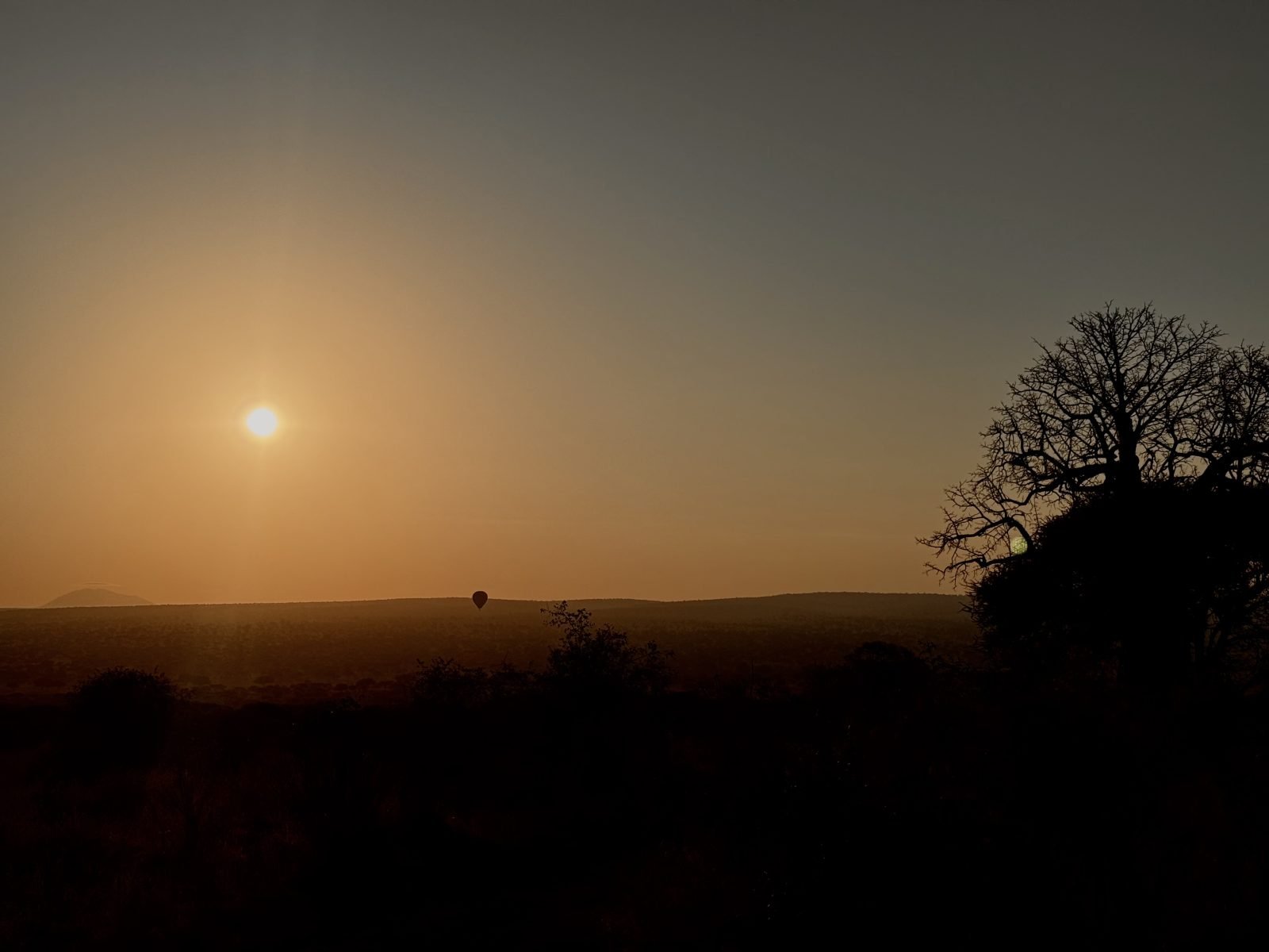 4-Day Safari in Tanzania Best of Big Five gallery image