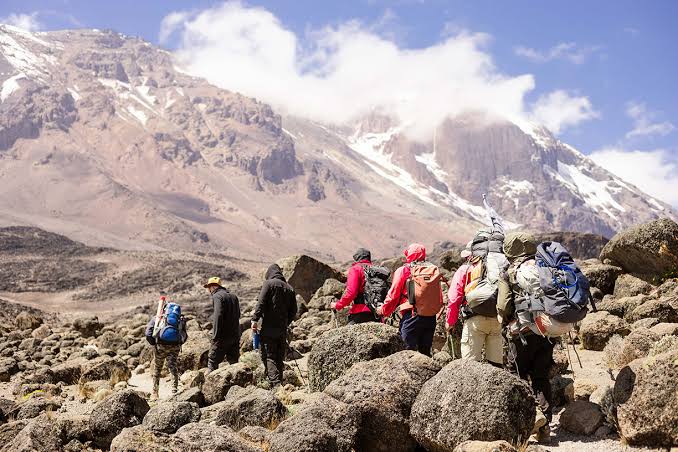 6-Day Kilimanjaro Climbing – Marangu Route gallery image