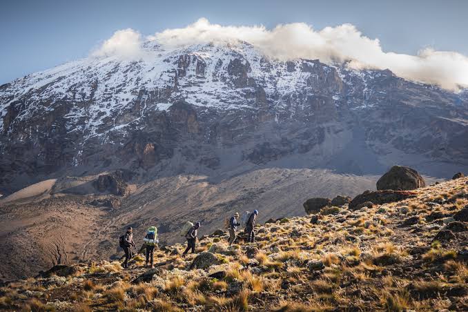 6-Day Kilimanjaro Climbing – Marangu Route gallery image