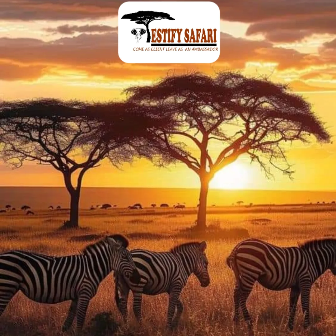 2-Day Tarangire National Park to Ngorongoro Crater