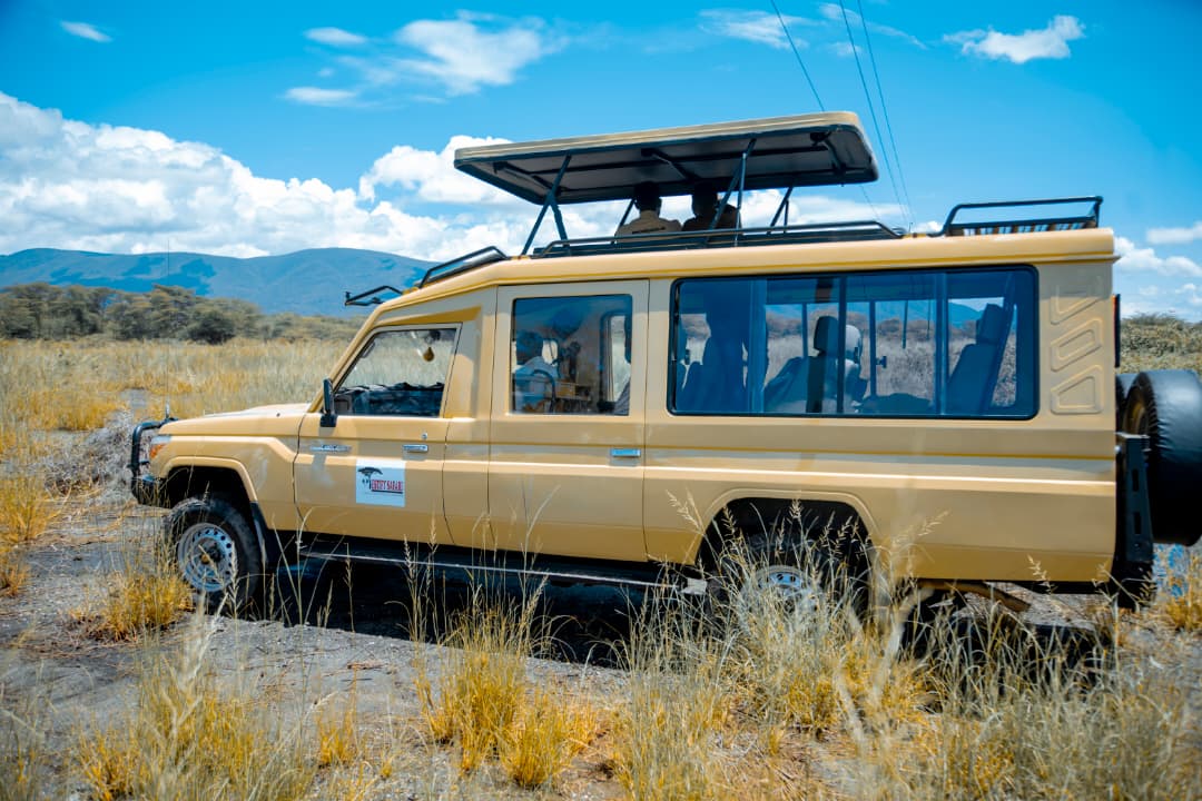 2-Day Tarangire National Park to Ngorongoro Crater gallery image