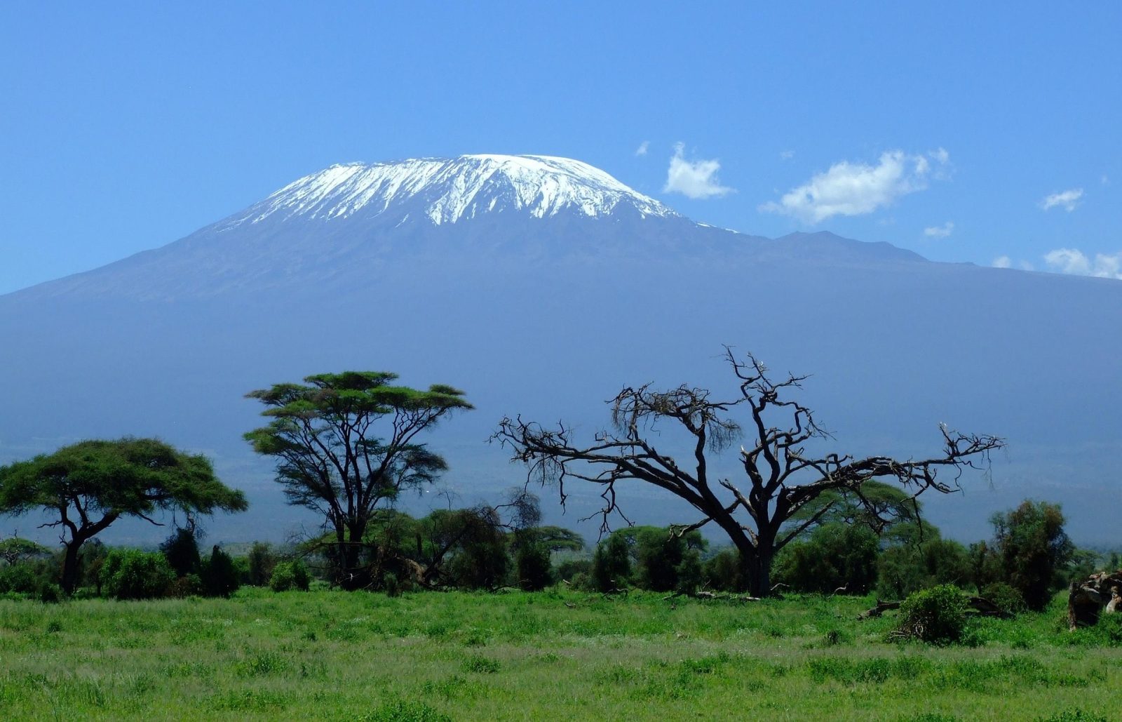3-Day Amboseli Wildife Safari
