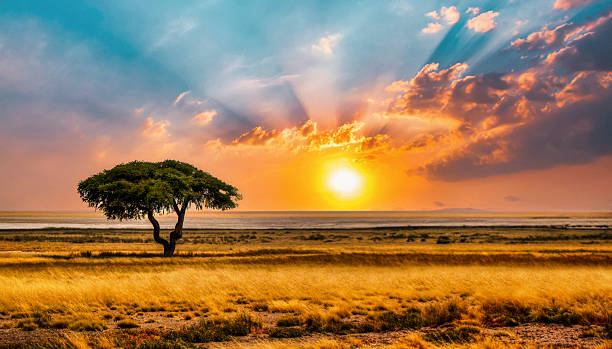3-Day Amboseli Wildife Safari gallery image