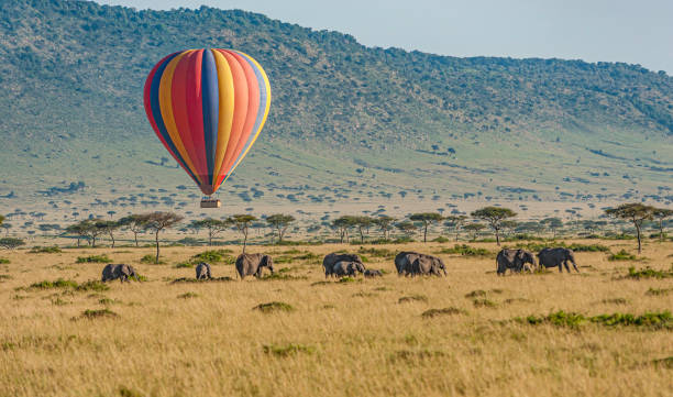 3-Day Amboseli Wildife Safari gallery image