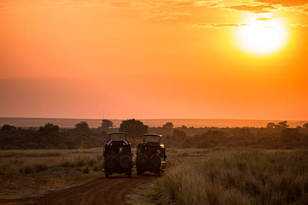 4-Day Budget Safari – Amboseli & Tsavo West gallery image