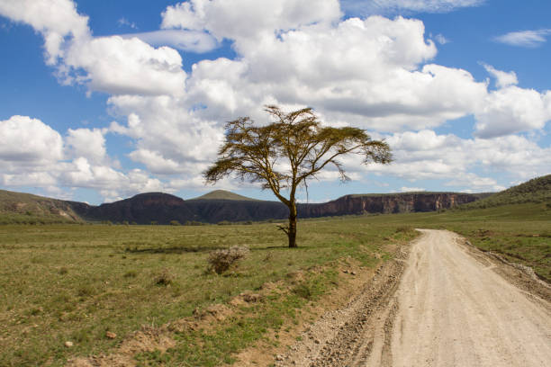 5-Day Best Maasai Mara, Naivasha & Amboseli Safari gallery image