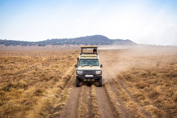 6-Day Best Samburu, Lake Nakuru & Maasai Mara Safari safari tour