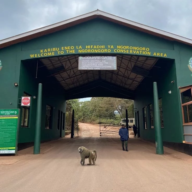 2-Day Giants, Landscapes & Crater Wildlife gallery image