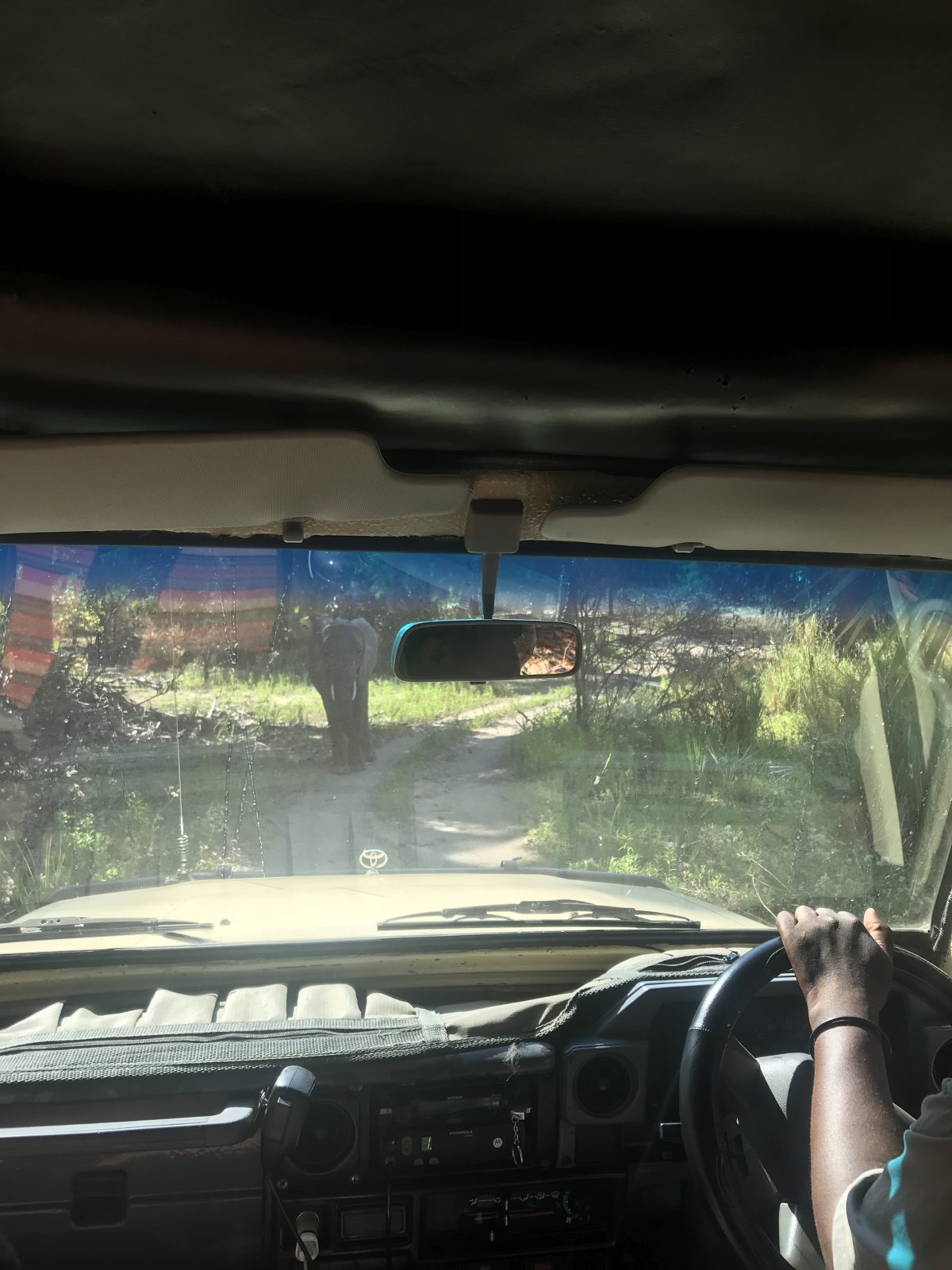 1-Day Safari from Zanzibar to Mikumi National Park gallery image