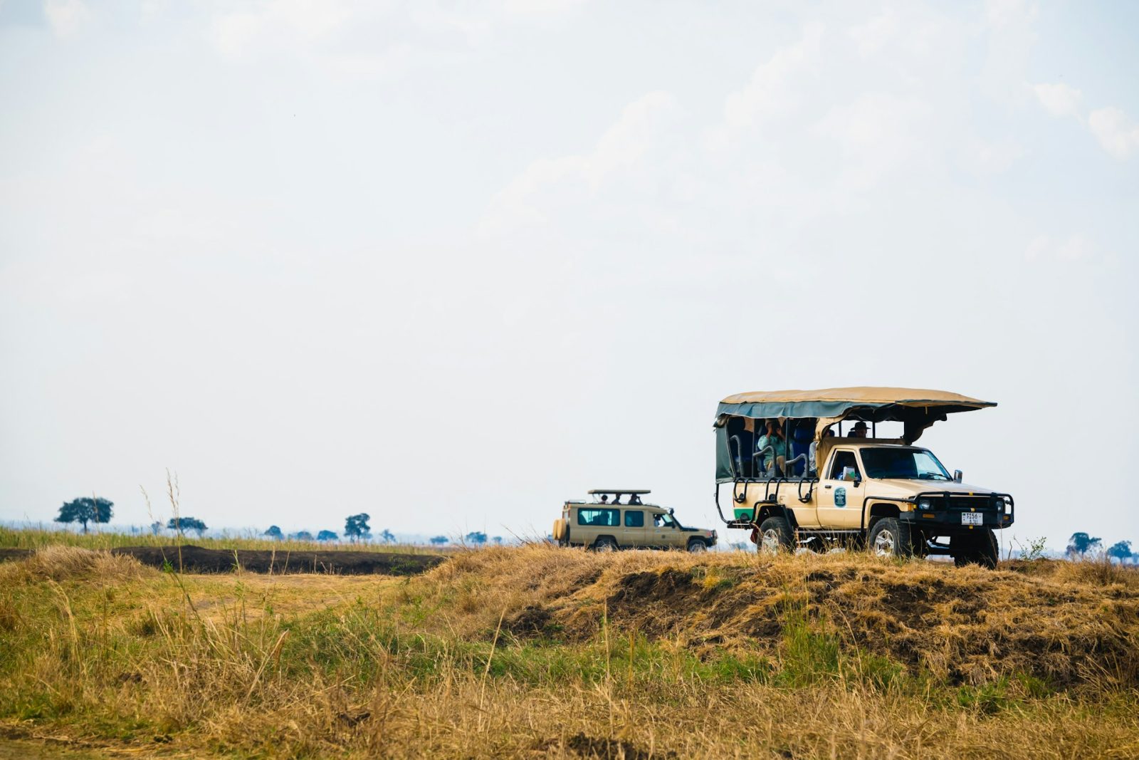 3-Day Mikumi National Park Private Safari from Dar Es Salaam gallery image