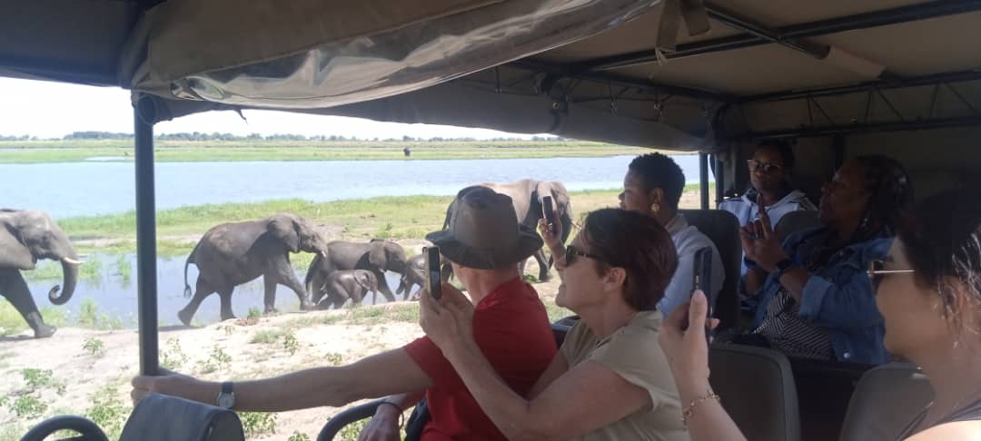 1-Day Chobe Full Day Trip in Botswana Chobe National Park gallery image