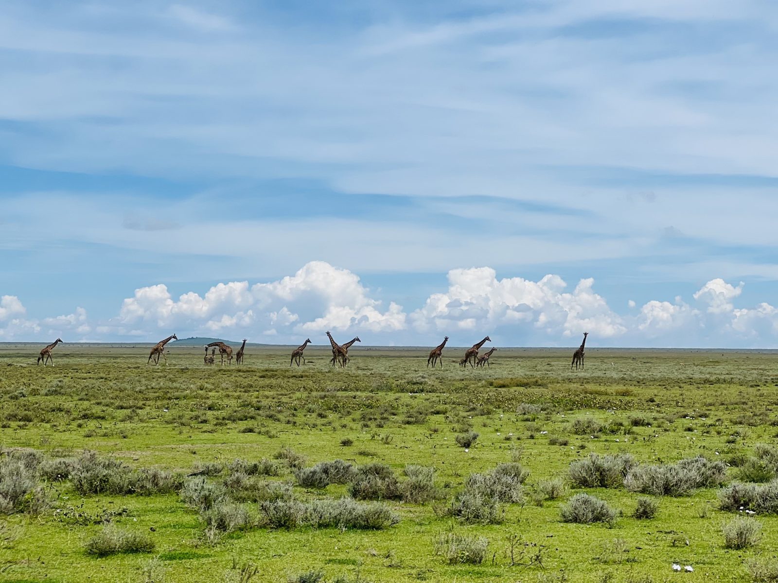 1-Day Daytrip - Ngorongoro Crater gallery image