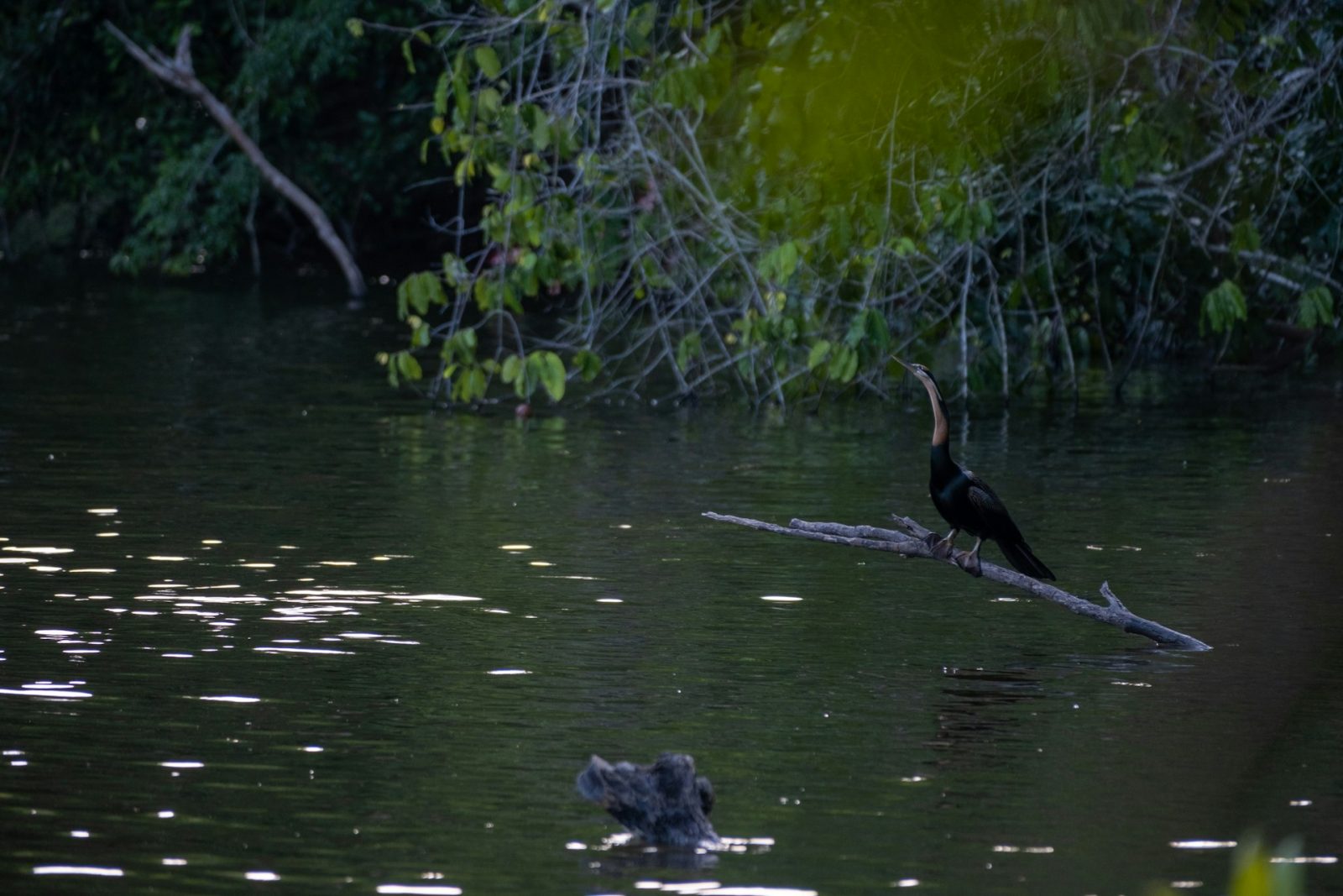 1-Day Pugu Hills Forest Day Tour from Dar Es Salaam gallery image