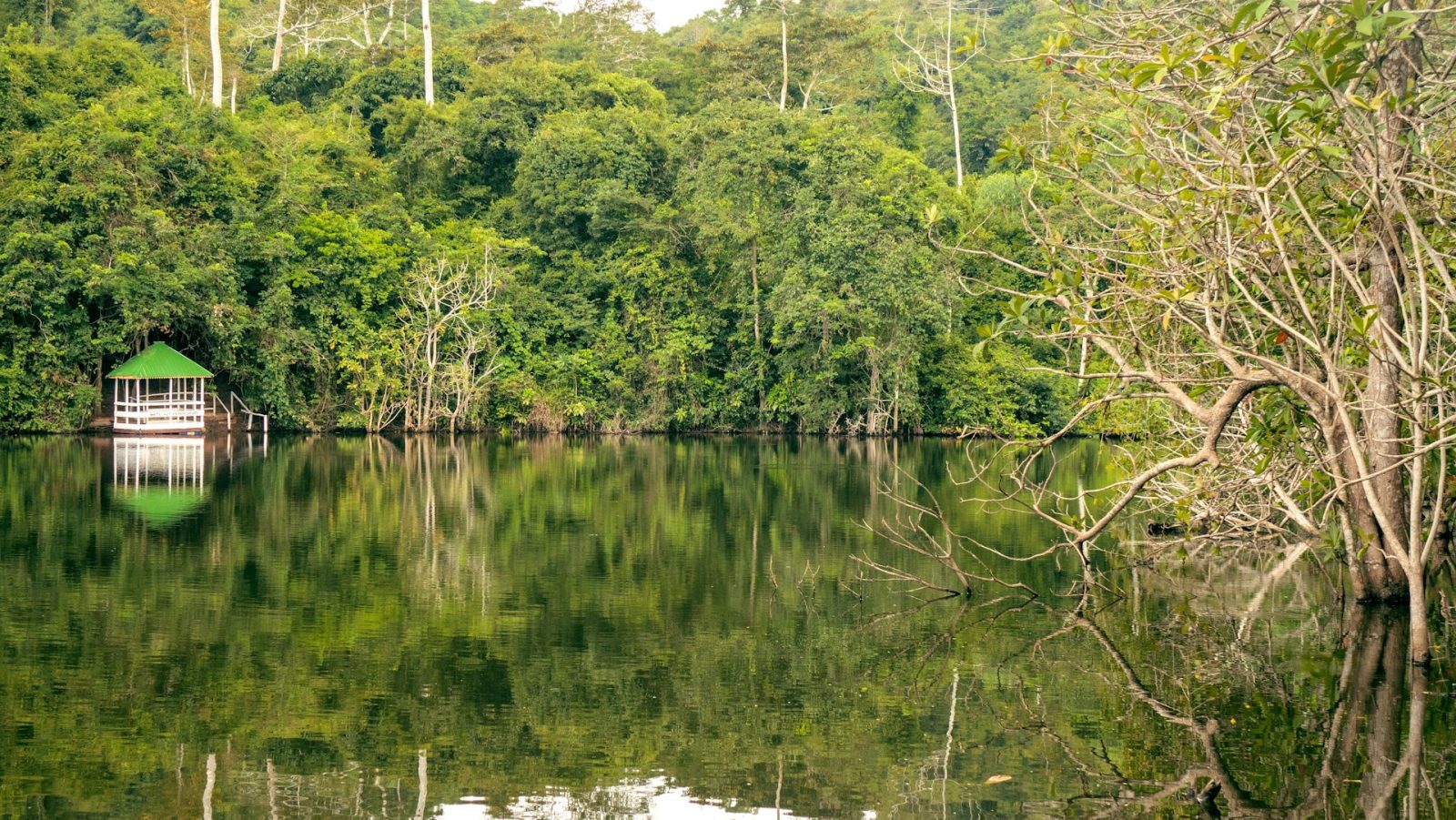 1-Day Pugu Hills Forest Day Tour from Dar Es Salaam gallery image
